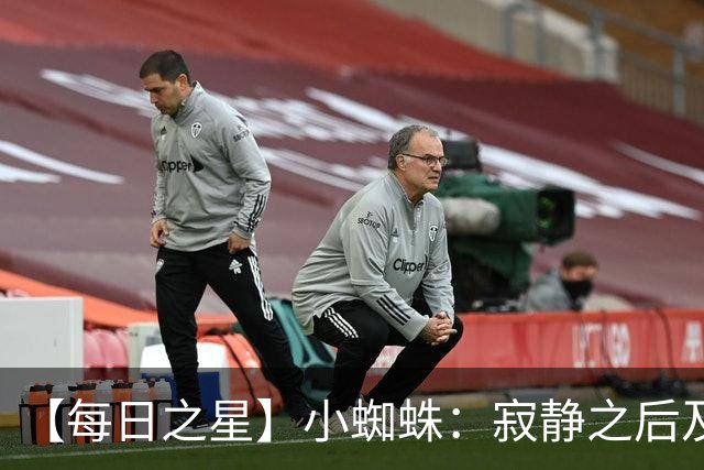 【每日之星】小蜘蛛：寂静之后及时归来 关键时刻轰世界波