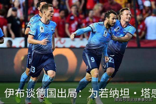 伊布谈德国出局：为若纳坦·塔感到遗憾 淘汰赛和点球就这么残酷