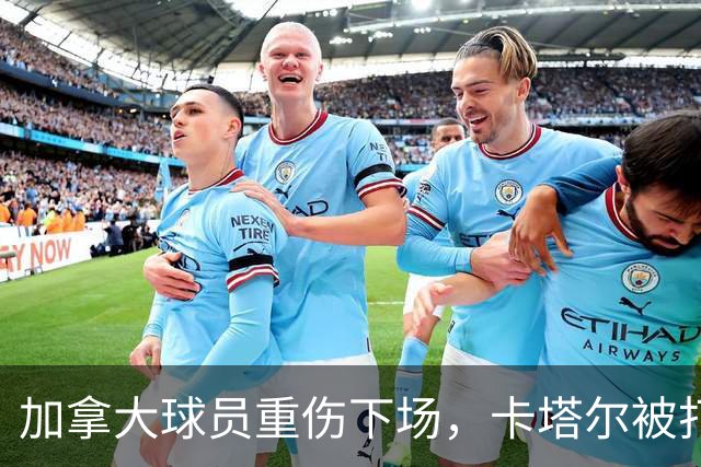 加拿大球员重伤下场，卡塔尔被打爆，“输球又输人”