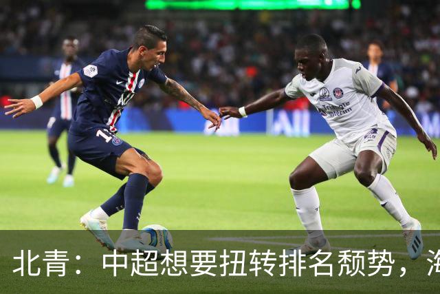 北青：中超想要扭转排名颓势，海港国安申花必须全力争取好成绩