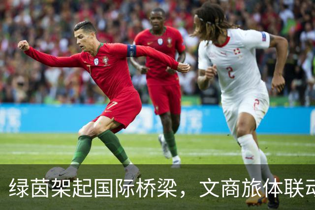 绿茵架起国际桥梁，文商旅体联动再添新场景！第十一届“白洋淀杯”圆满落幕