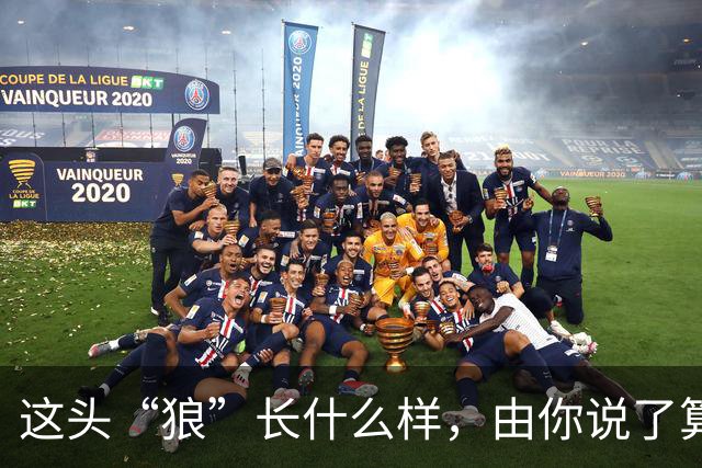 这头“狼”长什么样，由你说了算！璧山狼队吉祥物全城征集