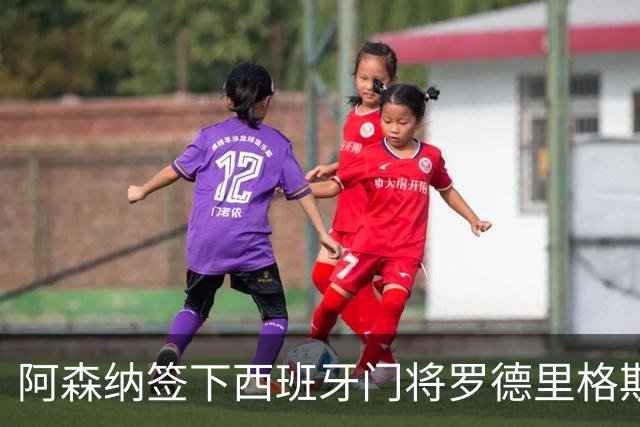 阿森纳签下西班牙门将罗德里格斯，自由身来投