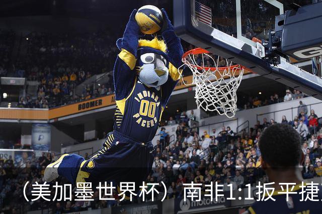 （美加墨世界杯）南非1:1扳平捷克 瑞士4:1战胜十人波黑